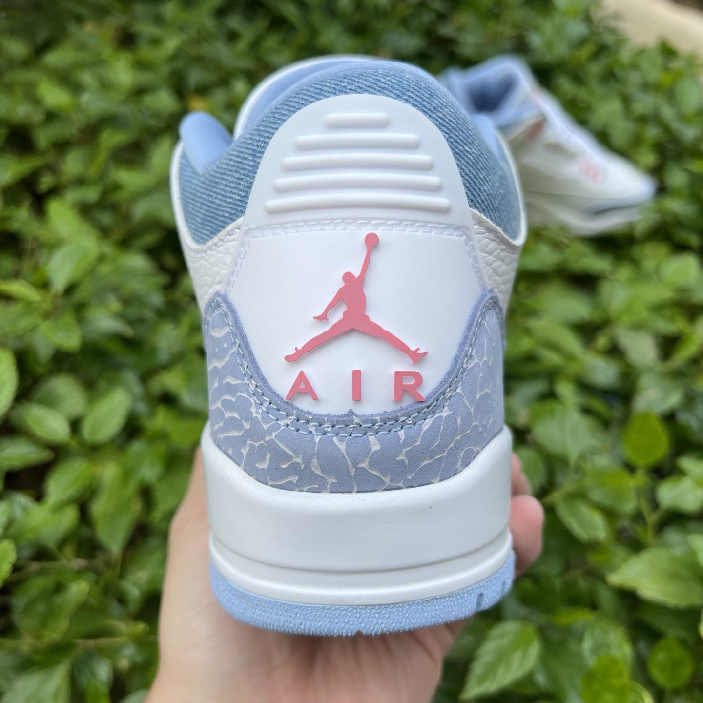 Nike Jordan shoe